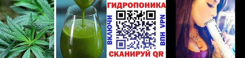 Canna-Cookies конопля  как найти   Катав-Ивановск 